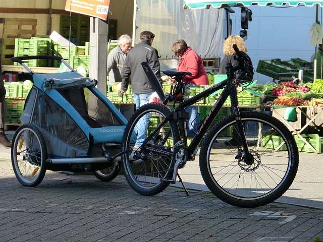 Child trailer with bike