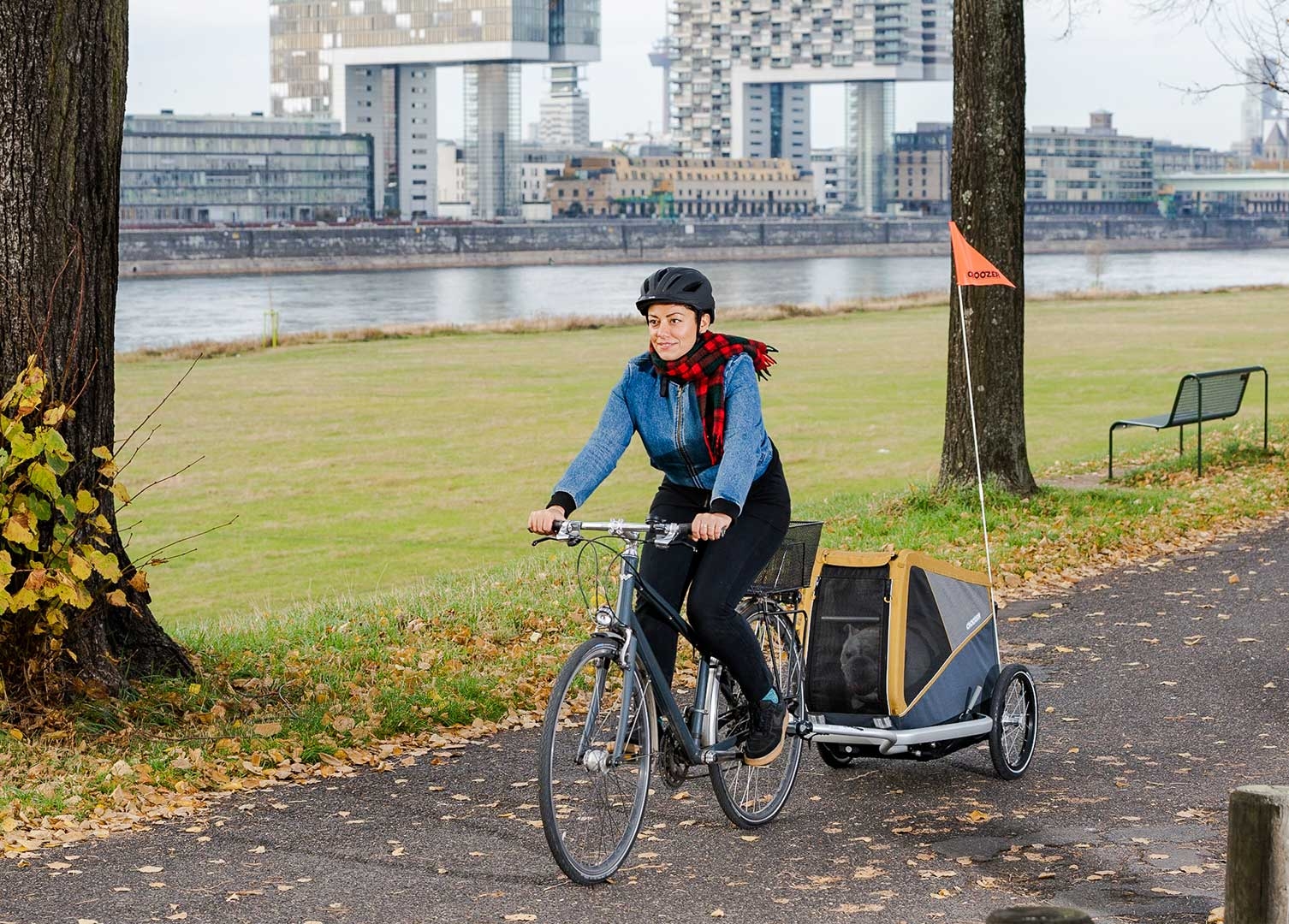 Bike with dog trailer