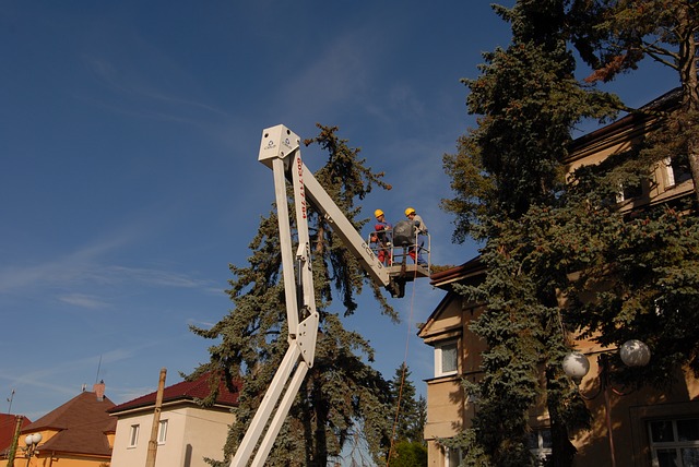 Cherry picker used for trimming trees