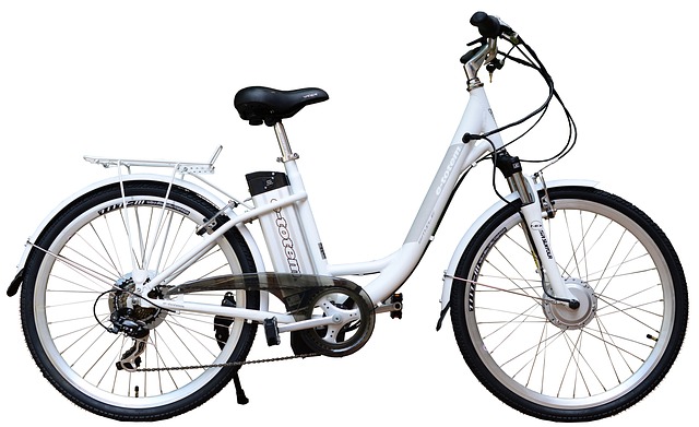 Electric Bike