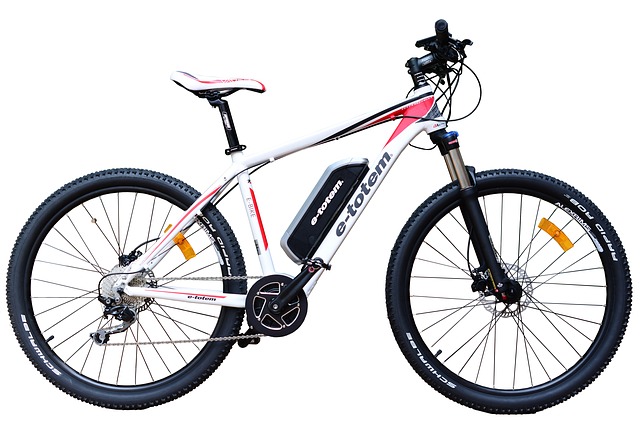 Electric mountainbike