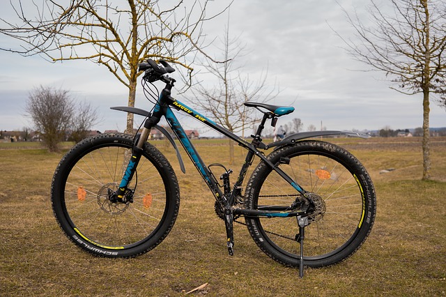 Mountain bike